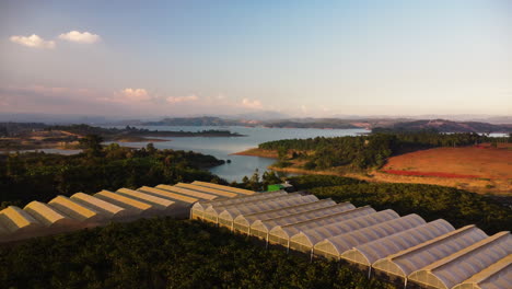 industrial greenhouses in agriculture landscape near lake water, vietnam