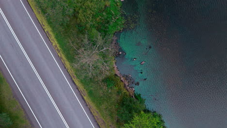 fija una toma diagonal superior de una orilla de un lago con rocas y cianobacterias algas azul-verdes y una carretera