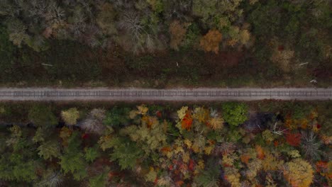 train railroad in forest with fall color foliage, top down aerial shot