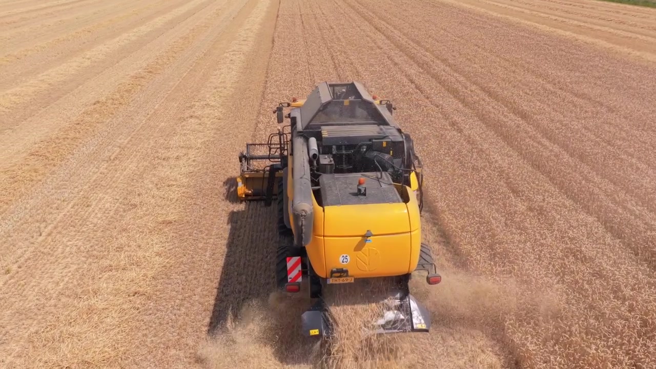 Combine harvester harvesting wheat in a golden field