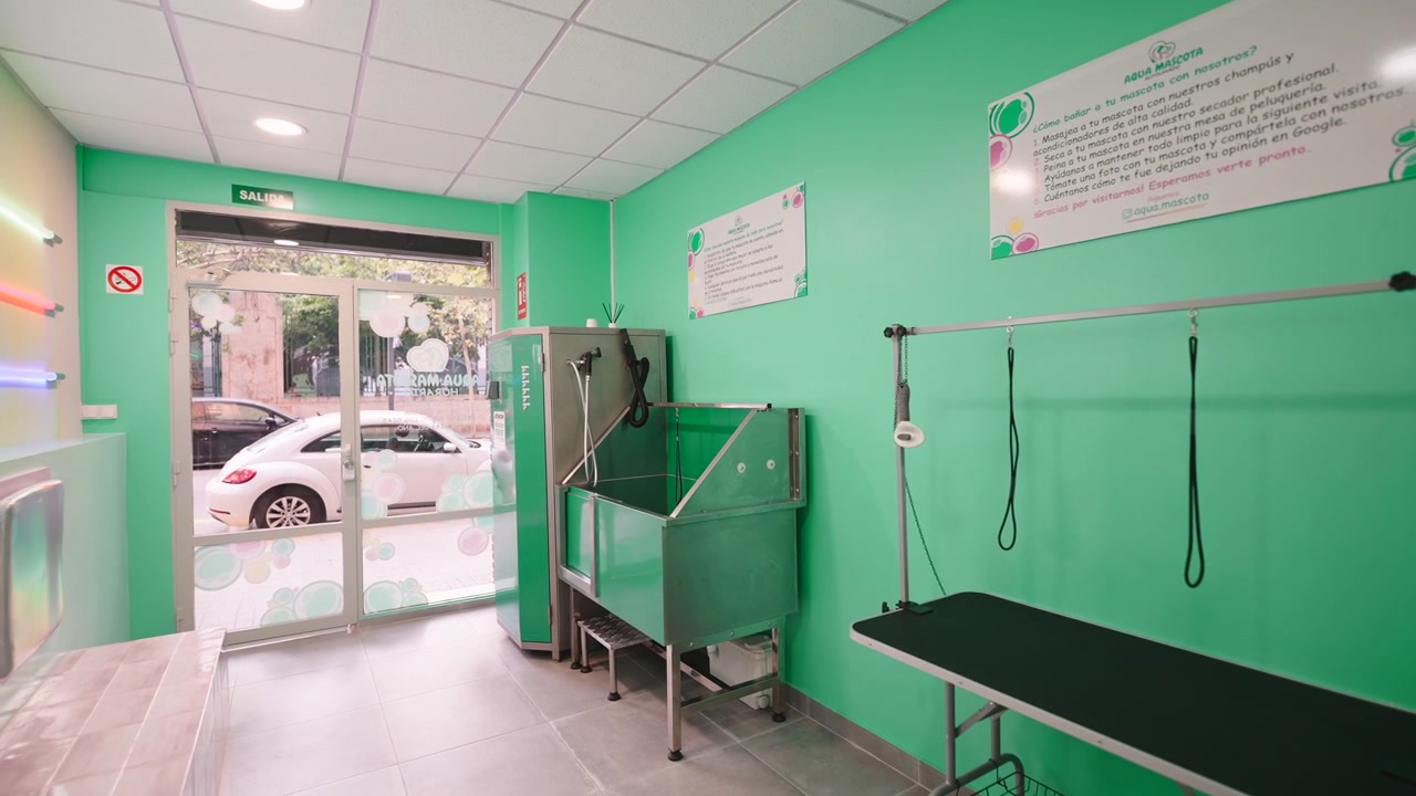 Modern Bir Kendin Yap Köpek Yıkama İstasyonunun İç Mekanı