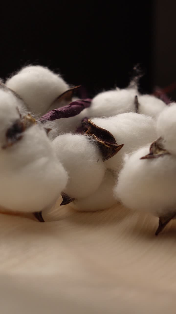 Batuffoli di cotone naturale con fiori secchi che ruotano lentamente.