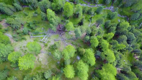 Luftdrohne-4k-Vertikale-Aufnahmen-Eines-Bergkiefernwaldes