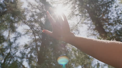 hand touching sun reaching for sunlight shining between fingers catching sunshine in forest woods