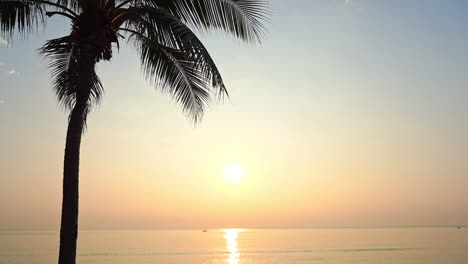 Goldenes-Licht-Eines-Tropischen-Sonnenuntergangs,-Der-Auf-Der-Oberfläche-Des-Ruhigen-Ozeans-Mit-Palme-Im-Vordergrund-Scheint-Und-Reflektiert