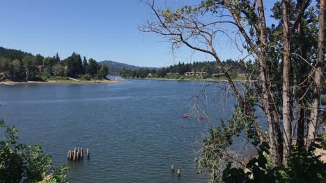 imágenes de 4k de mano que miran a través de los arbustos hacia un río mientras la gente navega en kayak y canoa en el verano