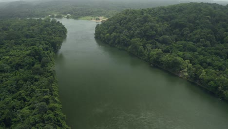 large amazon river flowing through rainforest in suriname, aerial view