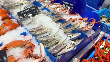 variety of seafood on ice at market