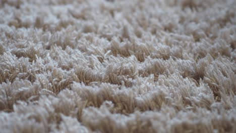 closeup of a beige shag carpet