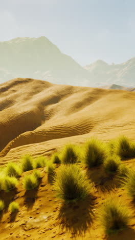 desert landscape with sand dunes and a mountain in the background