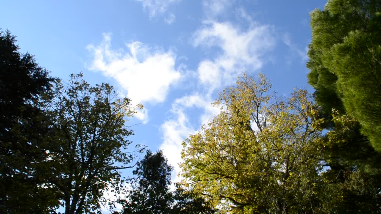 parco