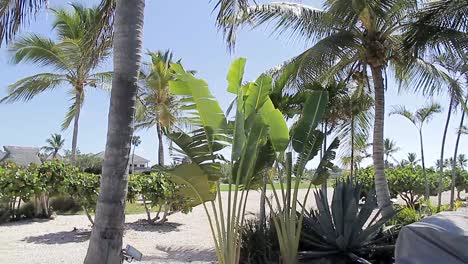 tropical-atmosphere-panorama-in-punta-cana-dominican-republic,-beautiful-climate-with-radiant-sunshine,-toristical-lifestyle