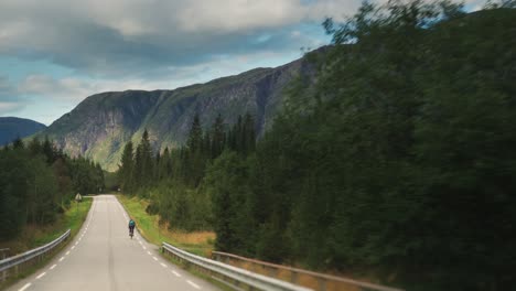 a lone cyclist on the narrow country road surrounded by pine forest