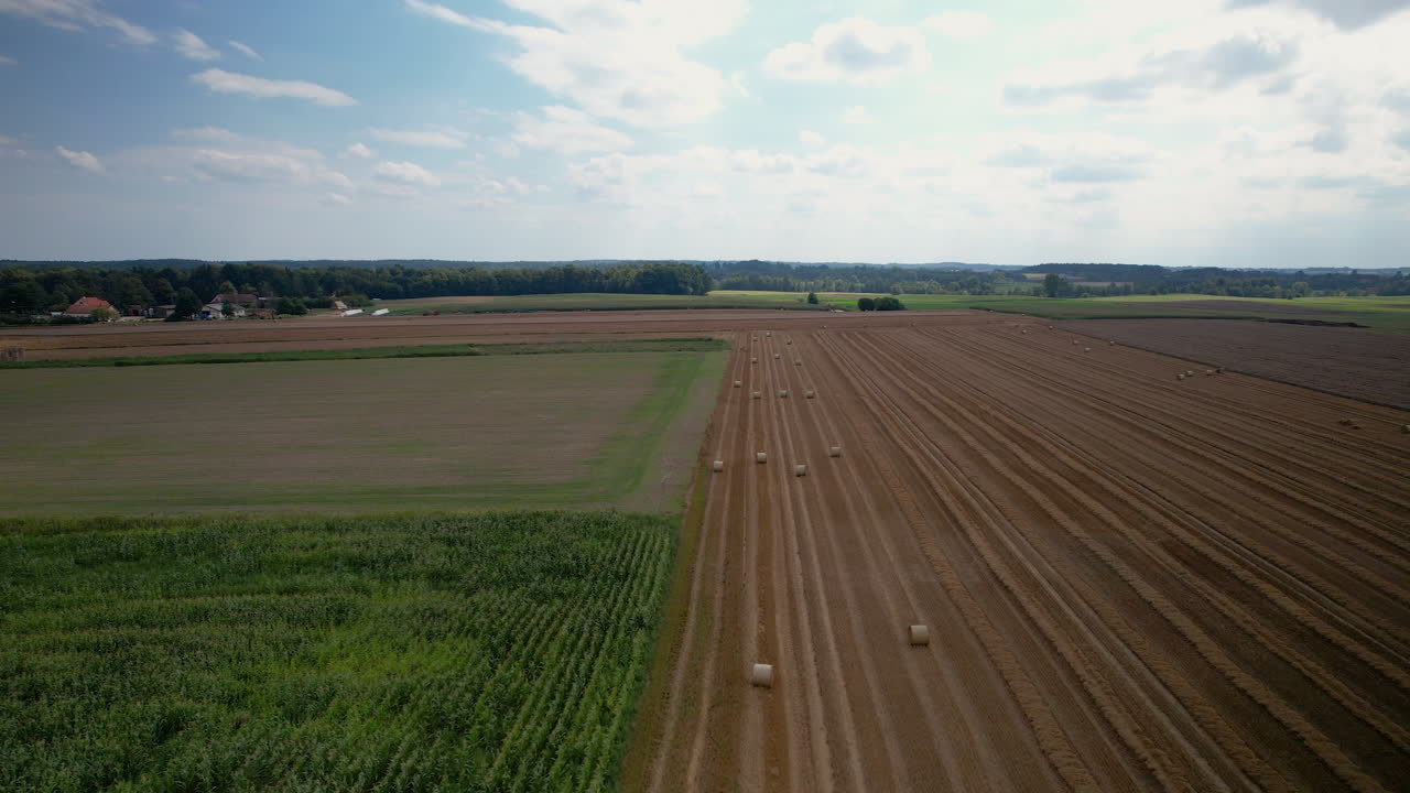Heuballen rollen während der Erntezeit auf weiten landwirtschaftlichen Feldern