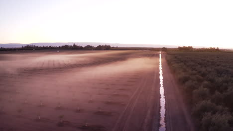 misty agricultural field with irrigation at dusk
