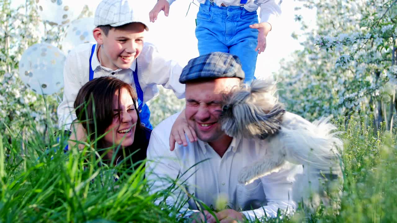 가족 애완동물, 작은 개와 함께 재미있는 게임