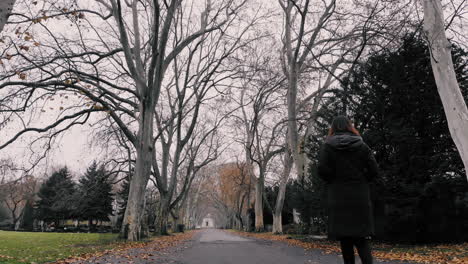 Eine-Frau,-Die-Allein-In-Einem-Park-Vorbeigeht,-Wurde-Von-Hinten-Aus-Einem-Niedrigen-Winkel-Aufgenommen