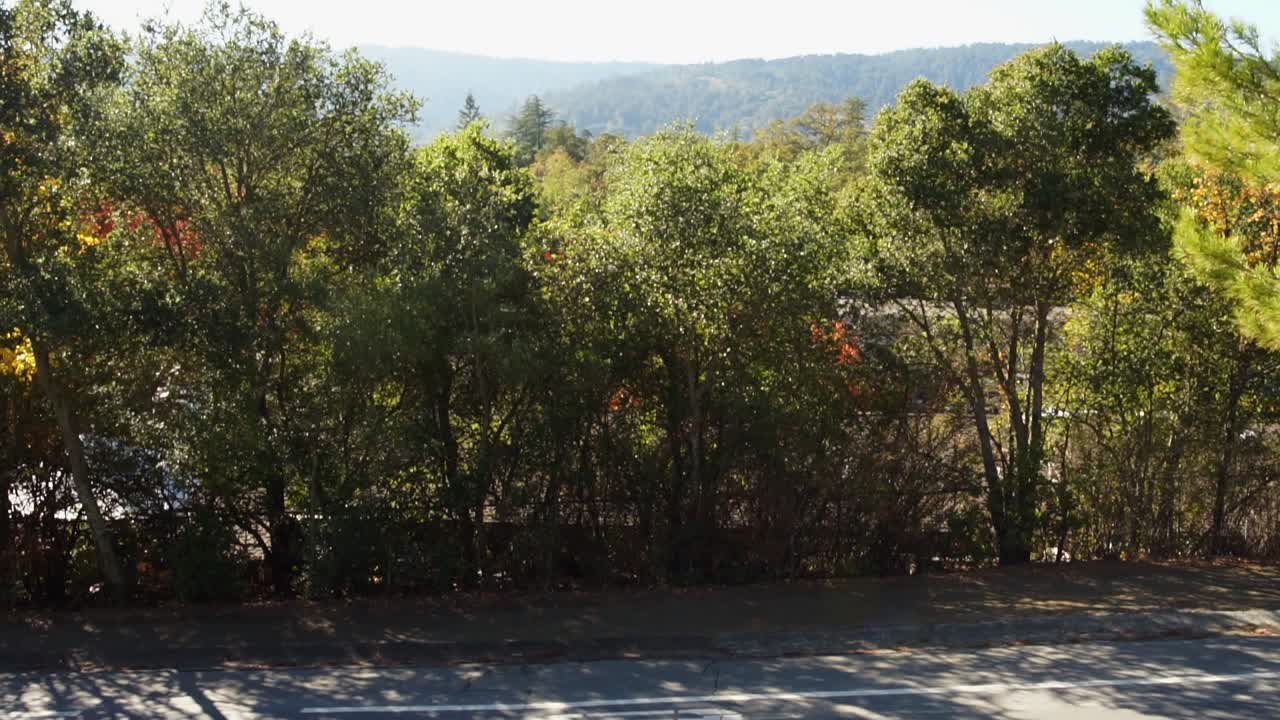 A tilt up over sunny forest hills and country road