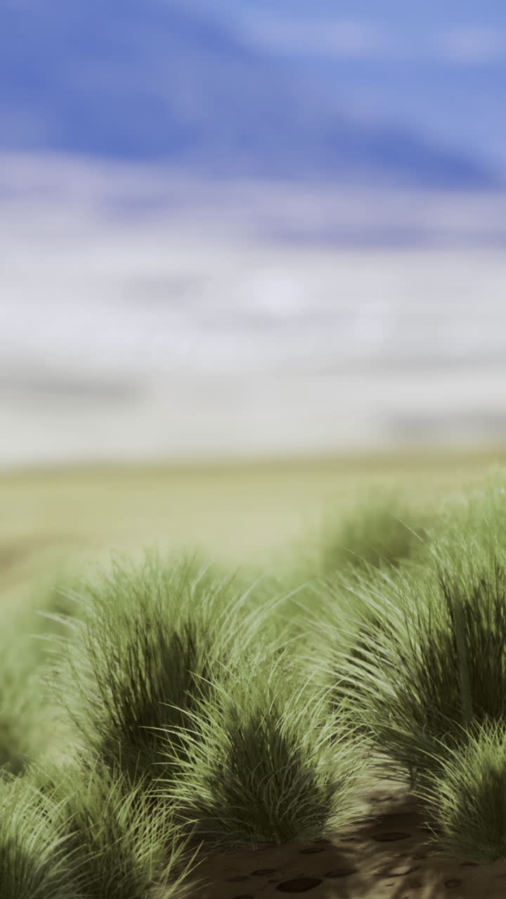 Vibrant green tufts thrive under a vast blue sky in a serene desert landscape