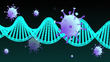 Animation-of-covid-19-cells-moving-and-dna-strand-spinning