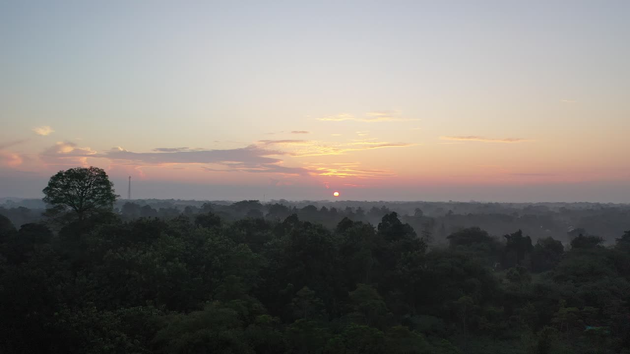 el amanecer sobre el bosque