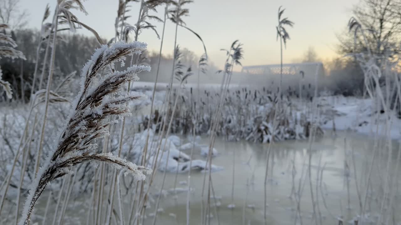 bela paisagem de inverno nebulosa, nevoeiro movendo-se ao longo da água, humor de sonho