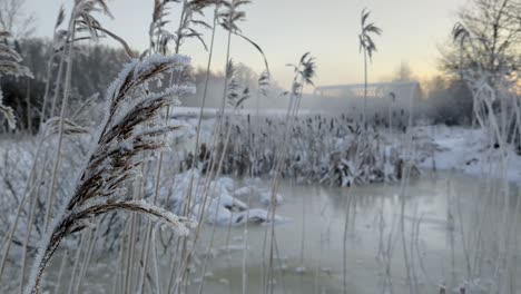 beautiful misty winter landscape, fog moving along water, dreamy mood