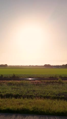 bright sun over expansive green fields