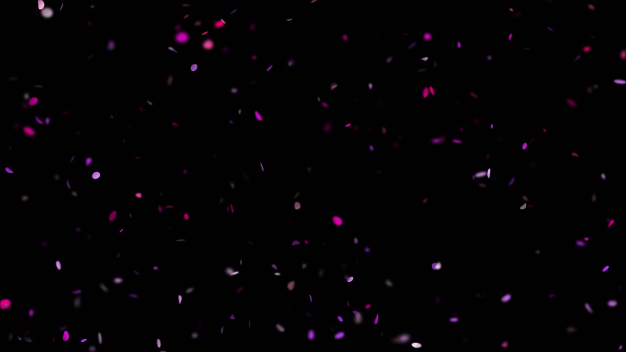 검은 바탕에 분홍색과 보라색 콘페티