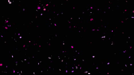 confeti rosado y púrpura sobre fondo negro
