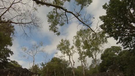 ruinas mayas en tikal en guatemala