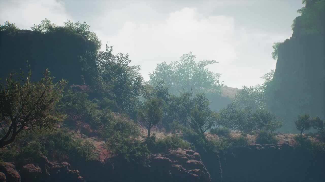 un entorno rocoso de la jungla con árboles y arbustos, animación 3d, escena animada, cámara dolly derecha