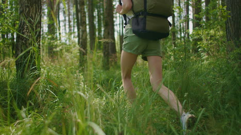 Slow-motion:-A-view-from-the-back-of-a-woman-walks-along-a-wooded-road-with-a-backpack-through-a-pine-forest-through-grass