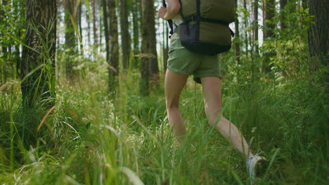 slow-motion: a view from the back of a woman walks along a wooded road with a backpack through a pine forest through grass