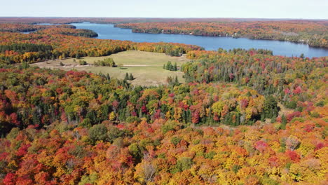 toma aérea del paisaje del parque algonquin, bosque colorido con río en el fondo, canadá