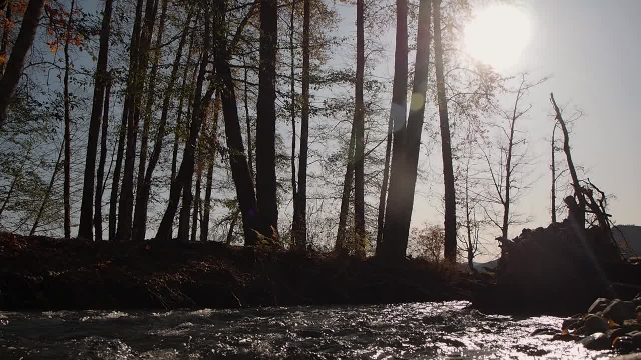 백그라운드에서 숲과 졸졸 흐르는 물과 강에 빛나는 태양