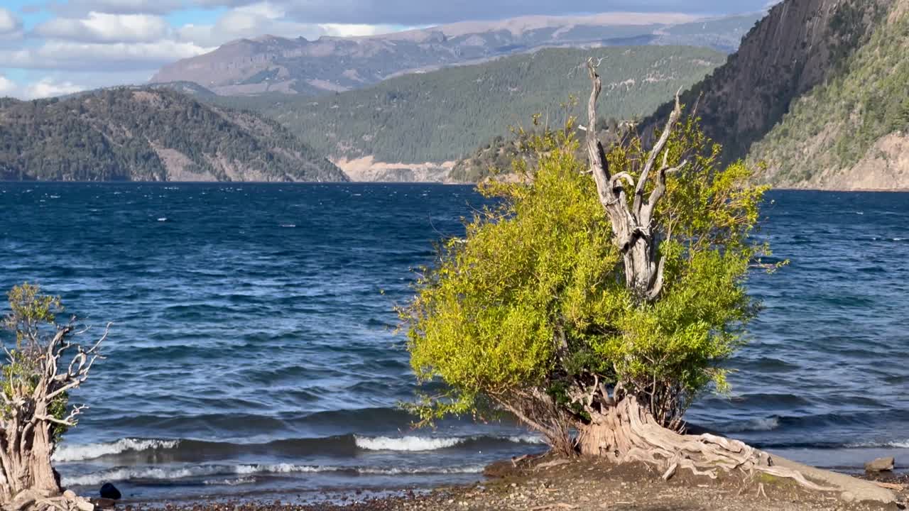 A calm lake with waves, surrounded by trees and distant mountains in Patagonia