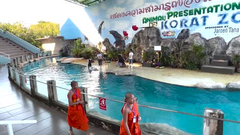 monk observes sea lion performance at korat zoo