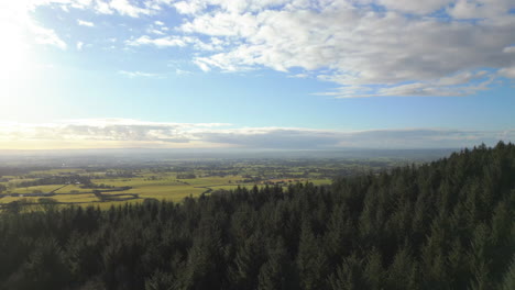 rise up over pine trees revealing english countryside at beacon fell country park