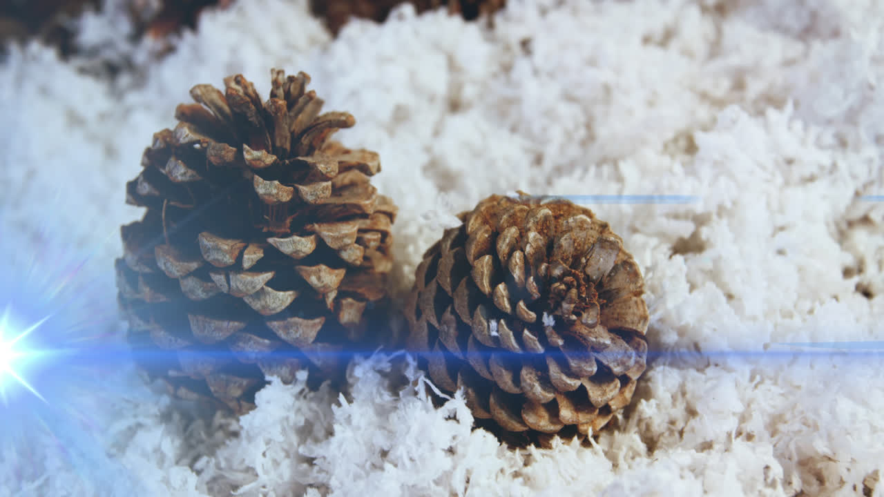 Animation of glowing lights moving over fir tree cones christmas decorations