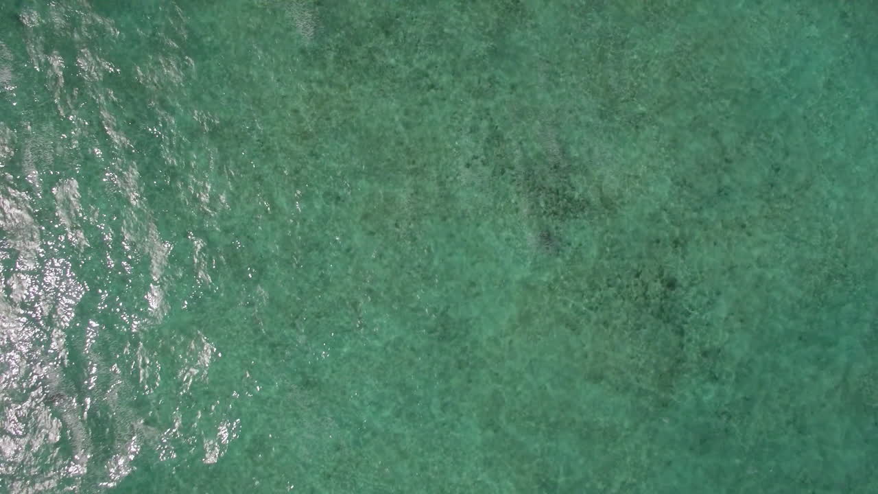 volando sobre aguas poco profundas y profundas del océano