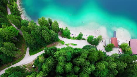 a view from above of a turquoise lake shoreline, lined with trees, with a dock and path leading into a forest