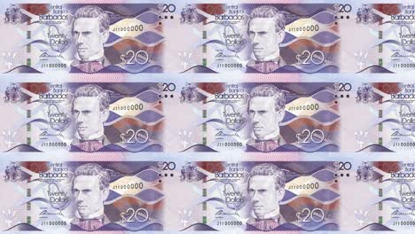 banknotes of twenty dollars of barbados island rolling, cash money, loop