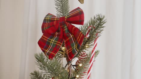 Tartan-bow-on-Christmas-festive-pine-branch