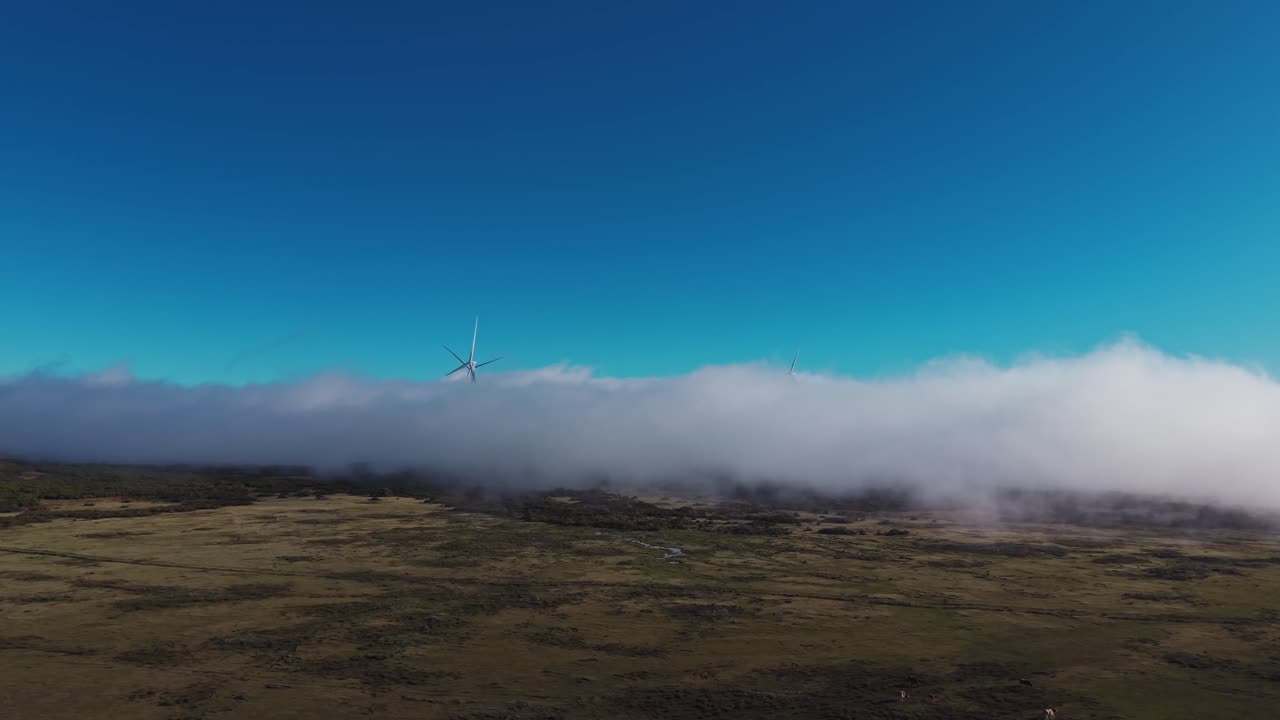 Vista aérea de aerogeneradores emergiendo sobre nubes bajas en la meseta de la isla de Madeira, mostrando energía renovable en un paisaje natural con una atmósfera dramática