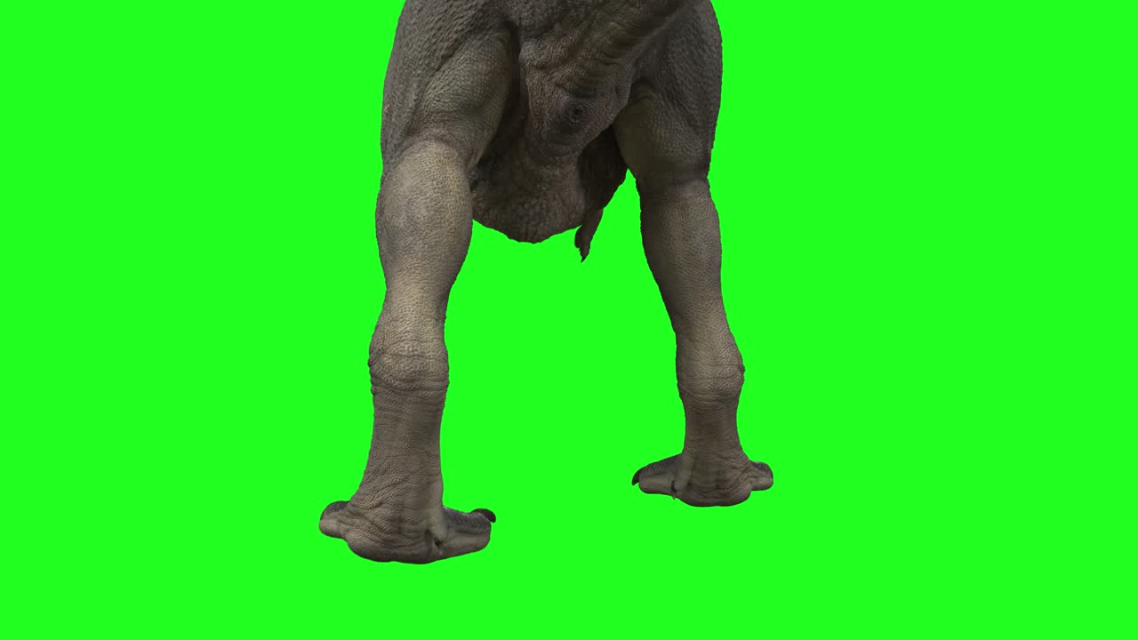 공 트렉스 루프가 녹색 채널을 고 있다