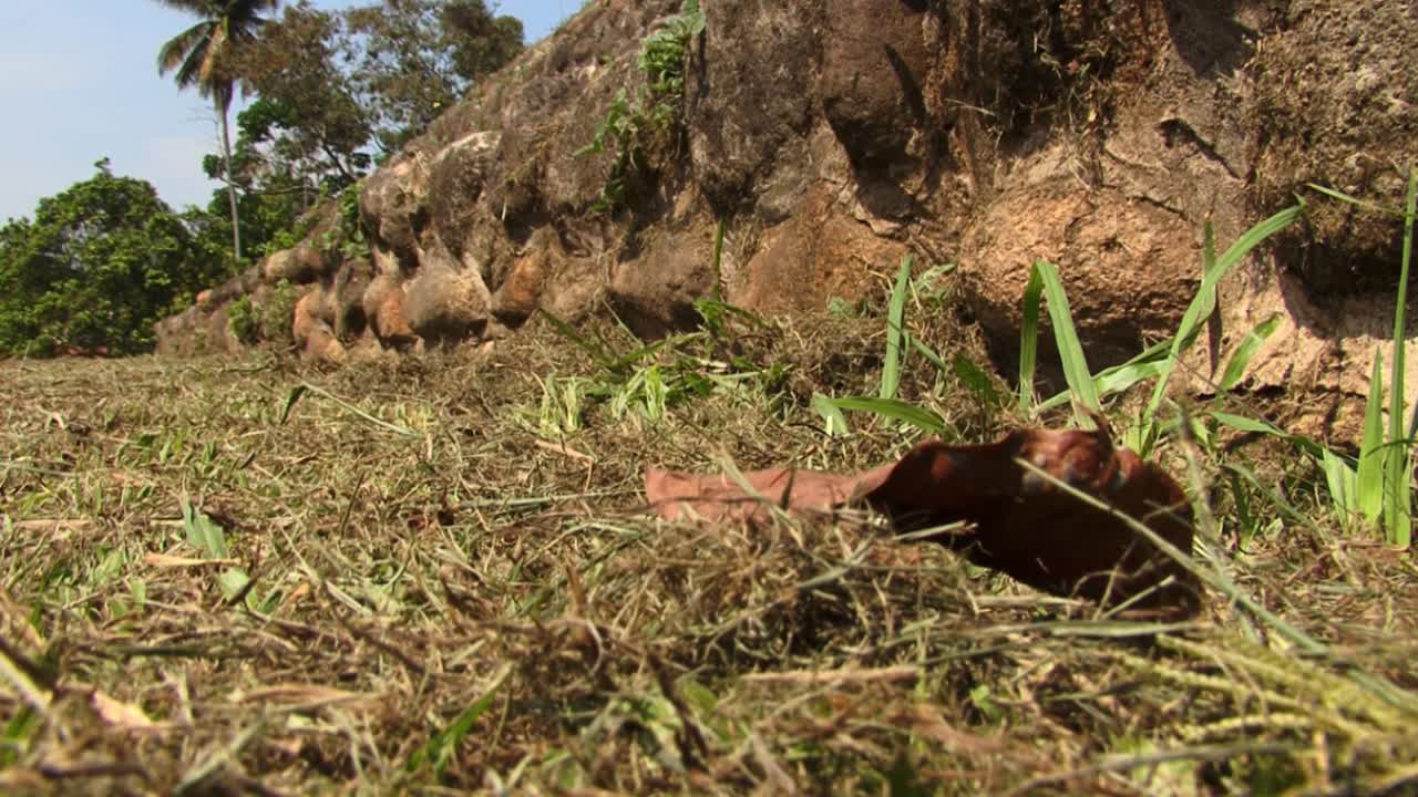 멕시코의 이자파 고고학 유적지의 피라미드 중 하나의 기초