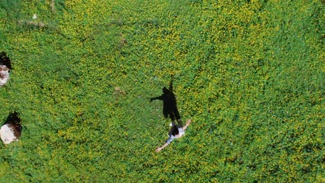 vista de arriba vertiginosa de una mujer que levantó las manos en un campo de flores