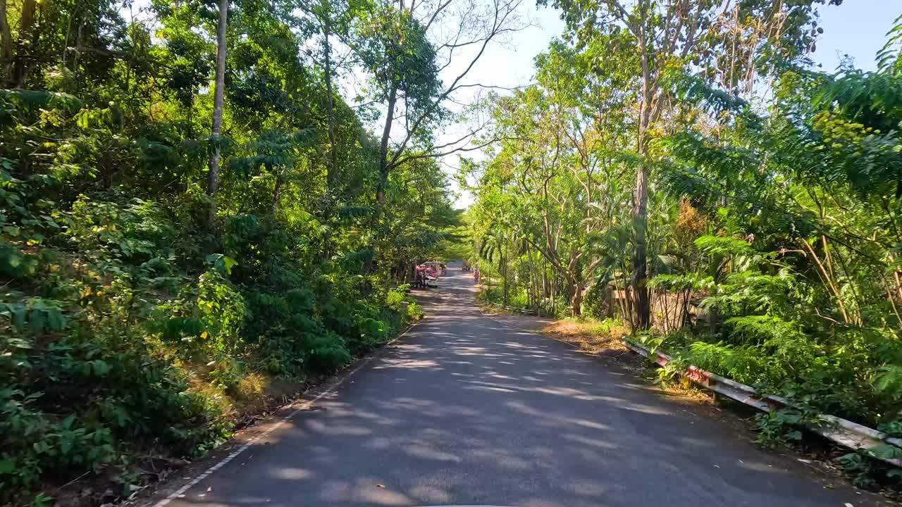 A serene drive through lush greenery at Khao Kheow Open Zoo, Chonburi, Thailand. Sunlit roads and vibrant foliage create a tranquil atmosphere