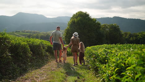 family hiking in a tea plantation